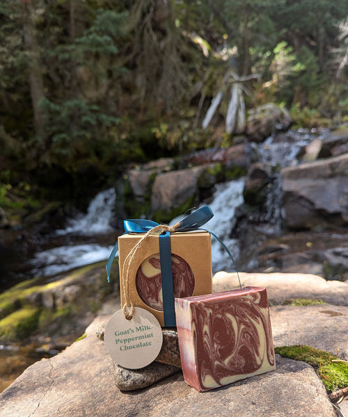 Goat's Milk Peppermint Chocolate Soap | Handmade Cold Process Bar